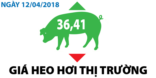 Giá heo hơi thị trường - Ngày 12/04/2018