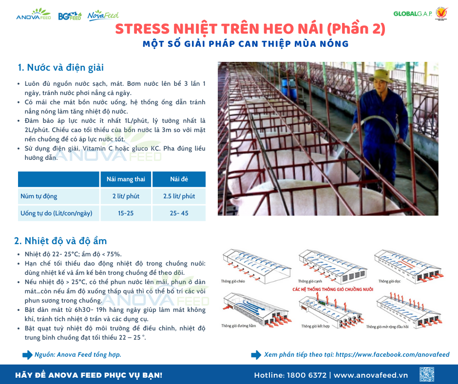 STRESS NHIỆT TRÊN HEO NÁI