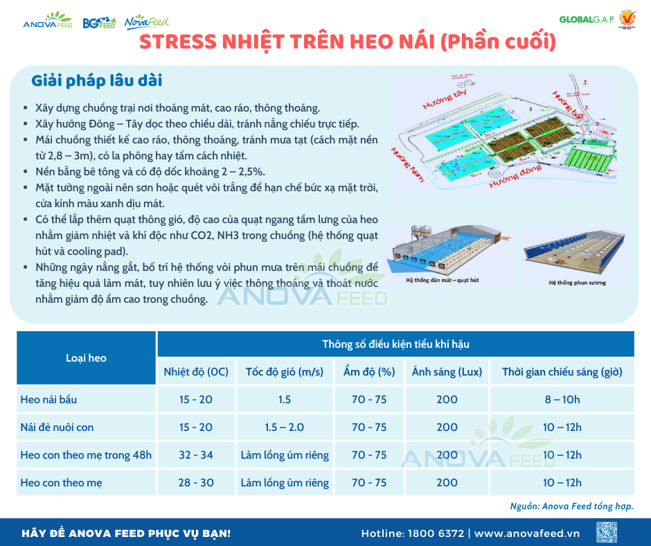 STRESS NHIỆT TRÊN HEO NÁI