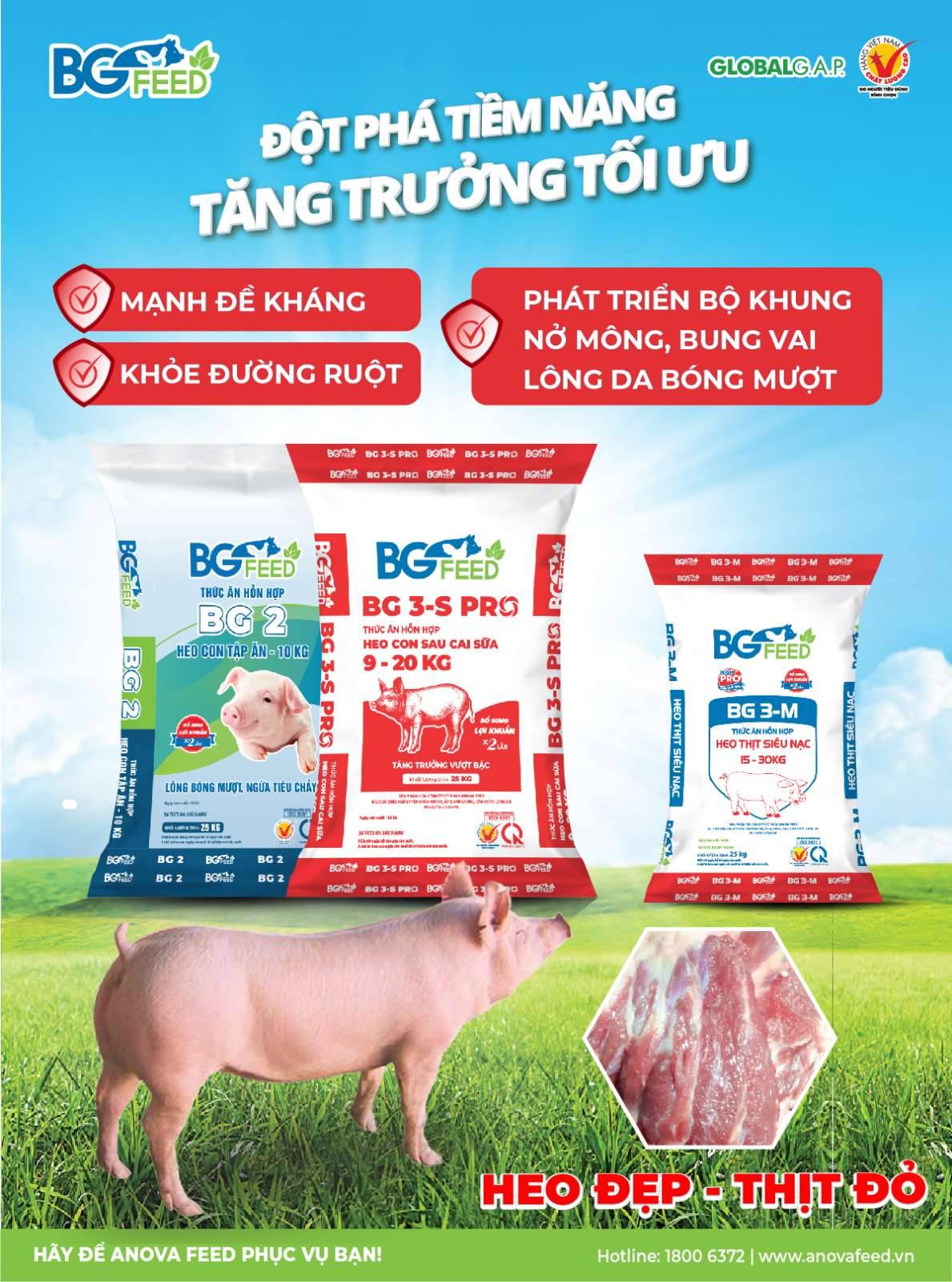 BỘ 3 CÁM BG FEED - BỆ PHÓNG VỮNG VÀNG CHO HEO CON