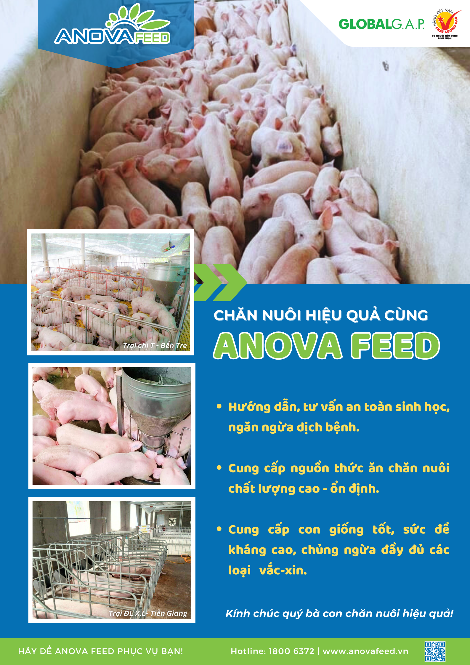 CHĂN NUÔI HIỆU QUẢ CÙNG ANOVA FEED