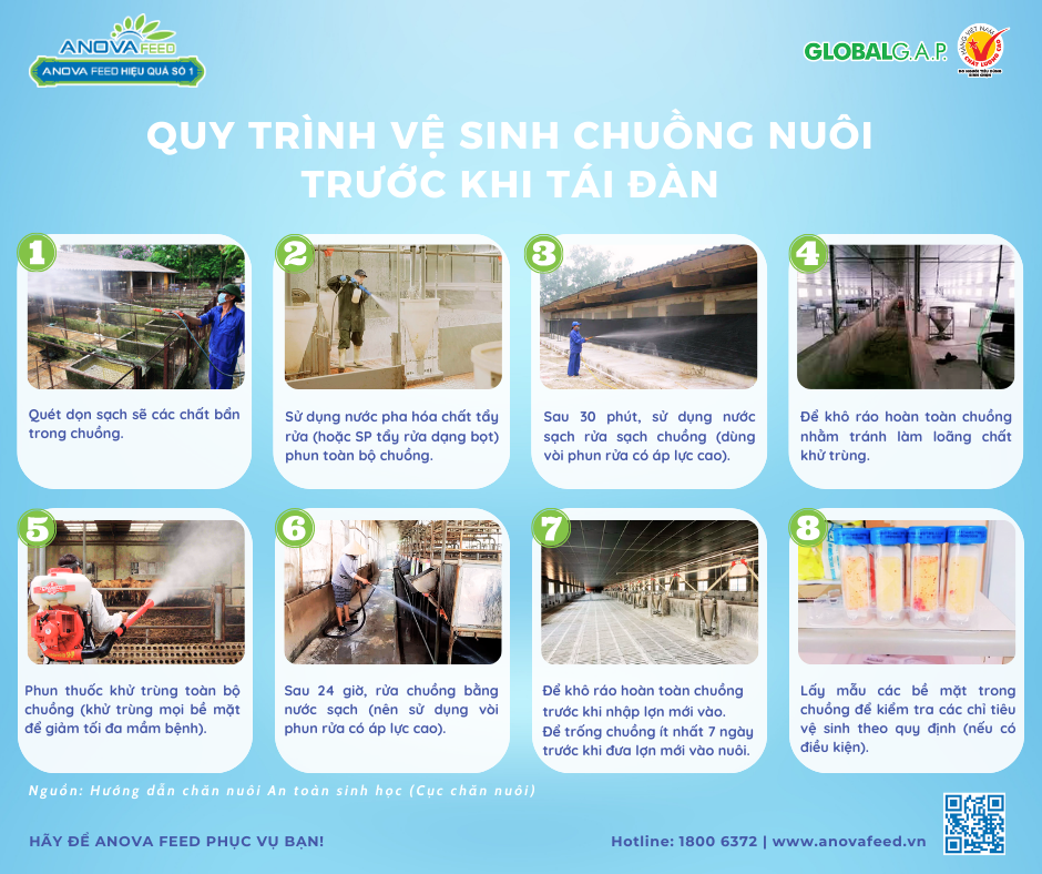 [TIN KỸ THUẬT] QUY TRÌNH VỆ SINH CHUỒNG NUÔI TRƯỚC KHI TÁI ĐÀN