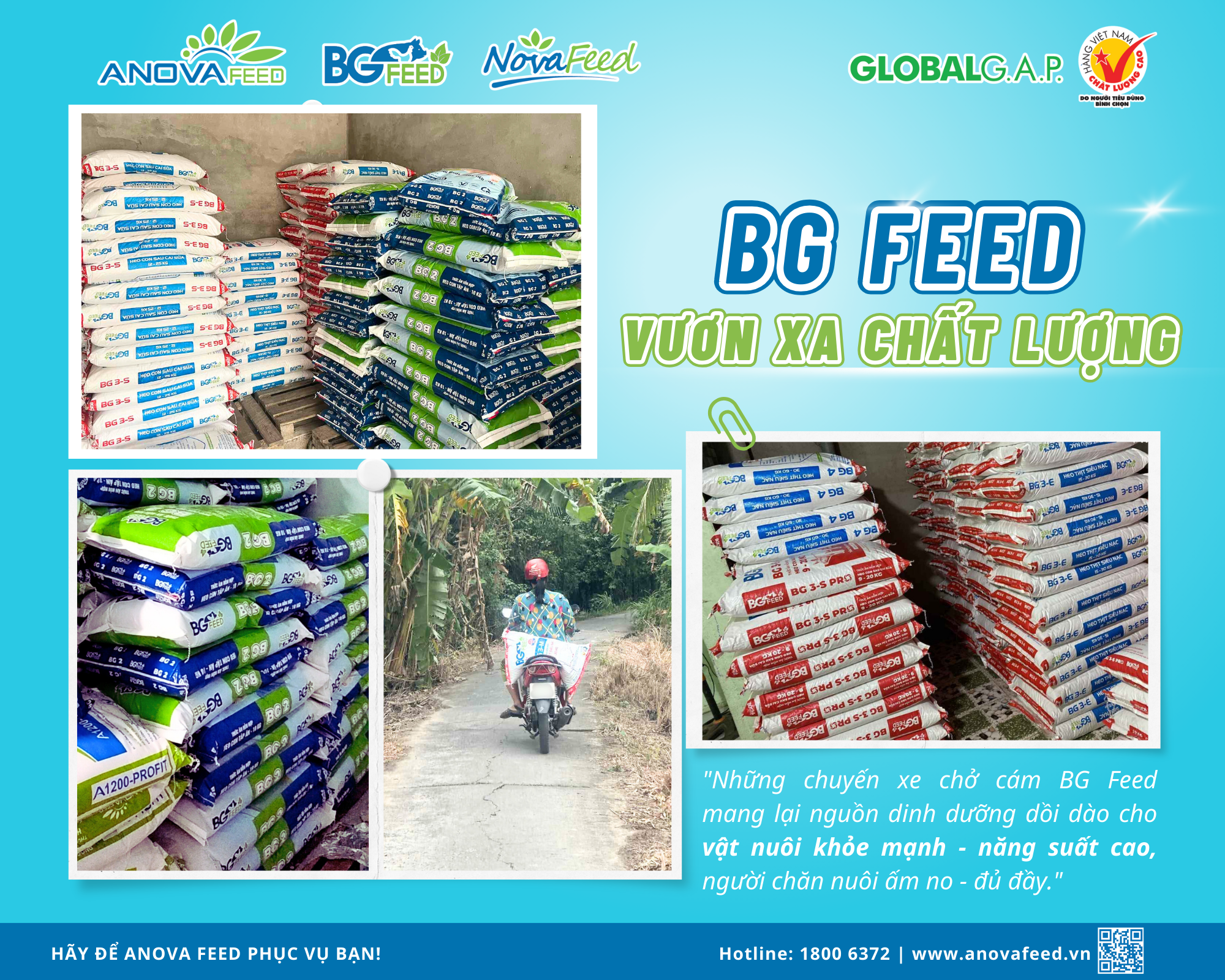 BG FEED - VƯƠN XA CHẤT LƯỢNG