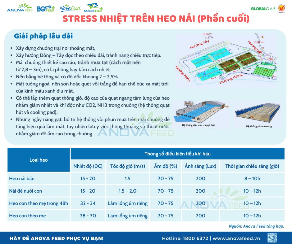 STRESS NHIỆT TRÊN HEO NÁI (phần kết)