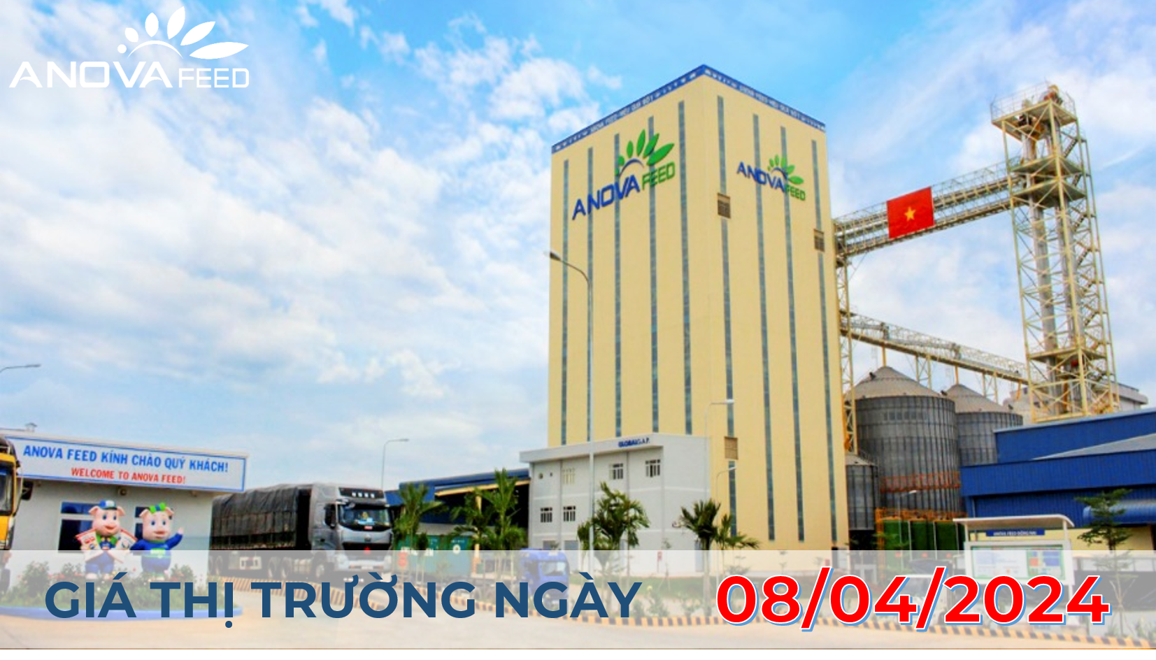 ANOVA FEED - GIÁ HEO HƠI NGÀY 08/04, THỊ TRƯỜNG BIẾN ĐỘNG