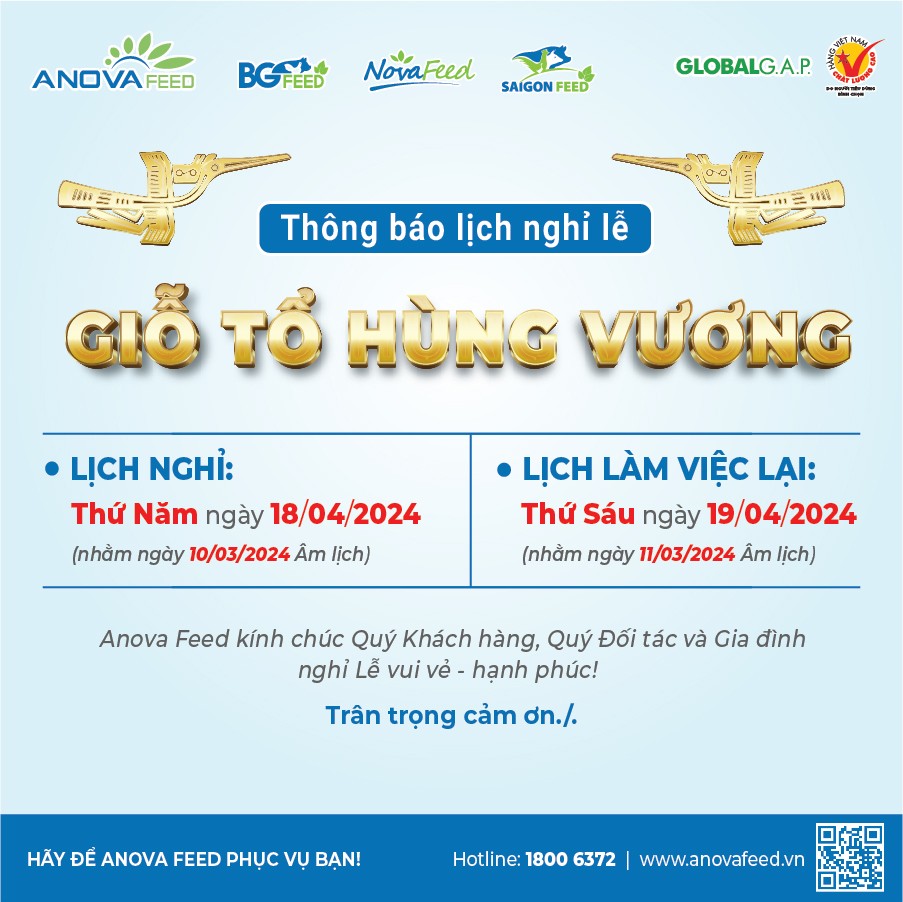 ANOVA FEED - THÔNG BÁO LỊCH NGHỈ LỄ GIỖ TỔ HÙNG VƯƠNG 2024