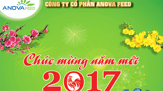 ANOVA FEED CHÚC MỪNG NĂM MỚI 2017