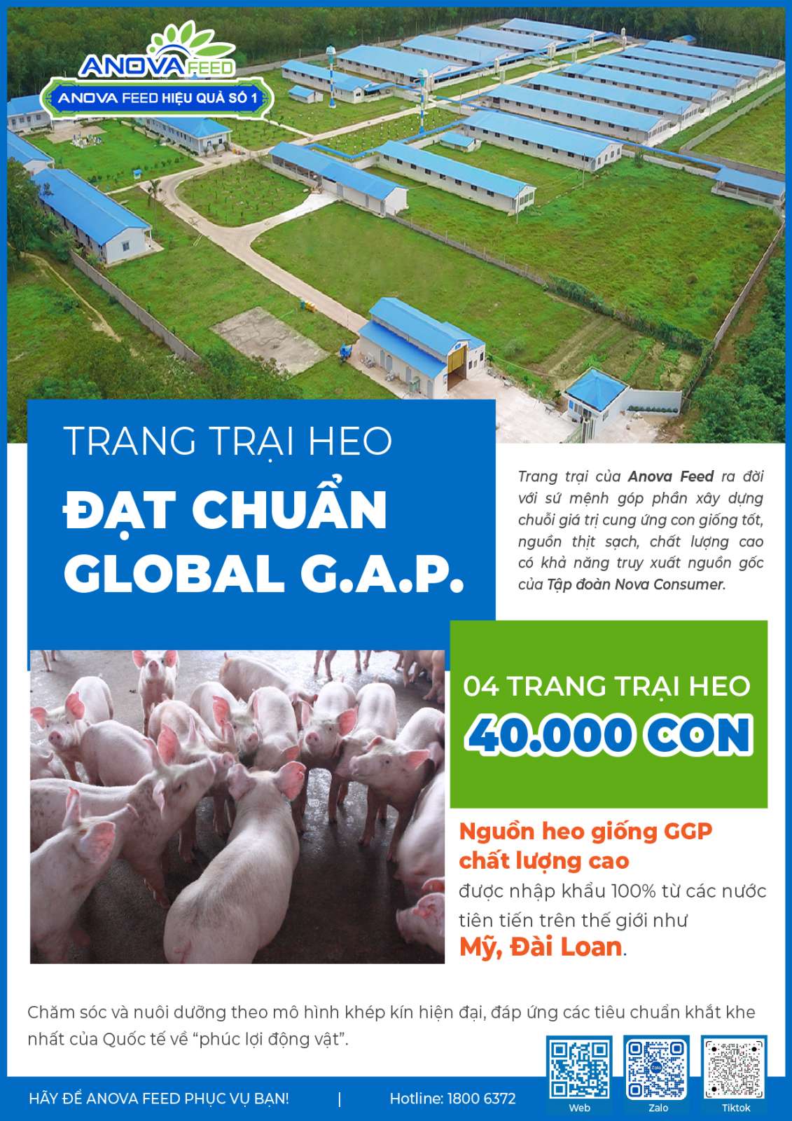 Kinh tế trang trại mang lại hiệu quả kinh tế cao
